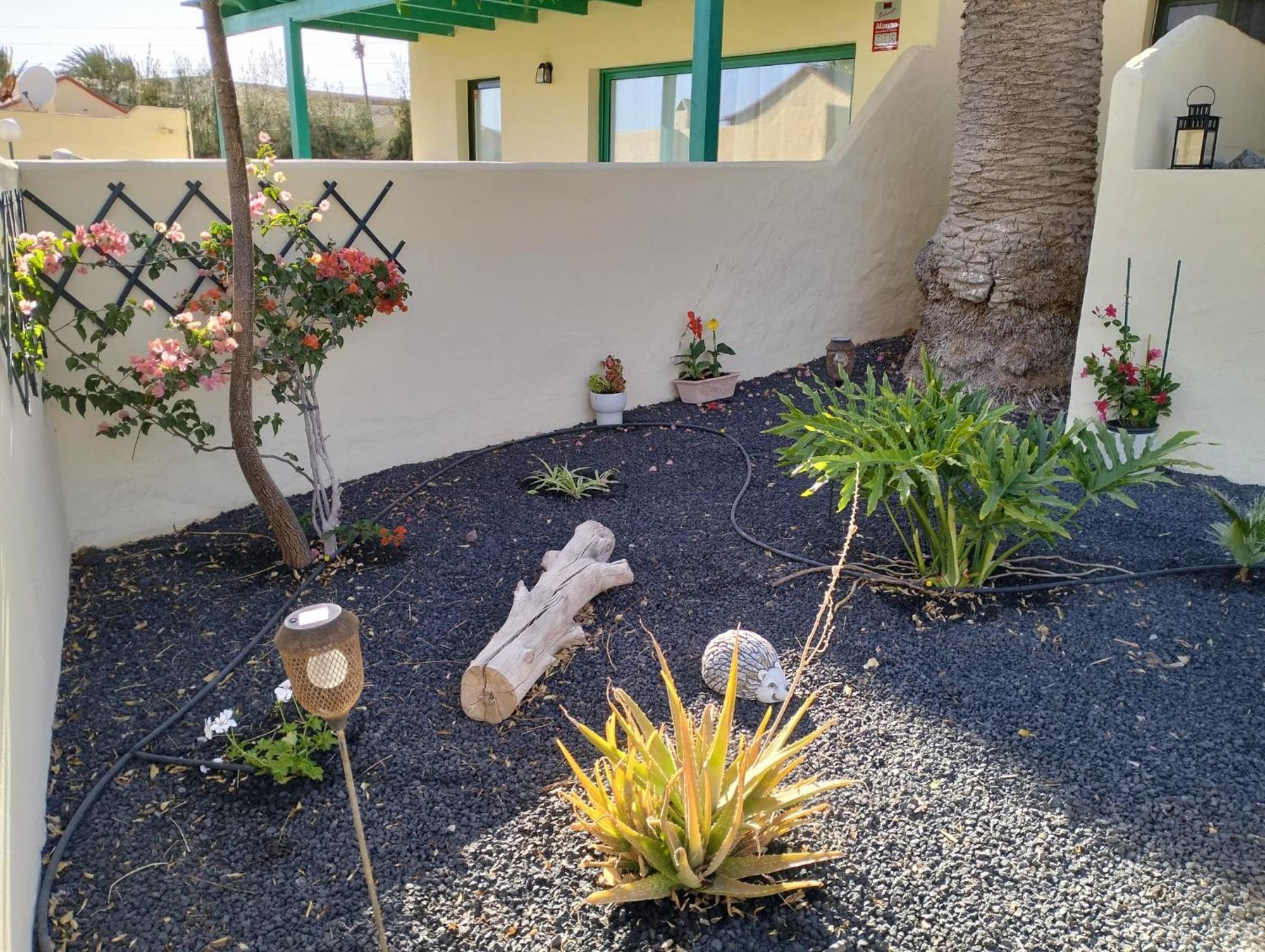 Montes Blancos Appartement Costa Calma Buitenkant foto